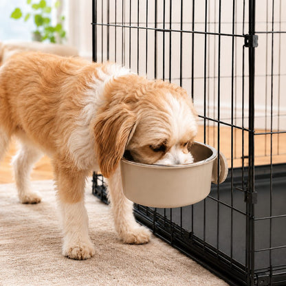 Ortekor Crate-Mounted Stainless Steel Pet Bowl for Dogs & Cats - Screw-On Food & Water Bowl for Cleaner Kennel Feeding