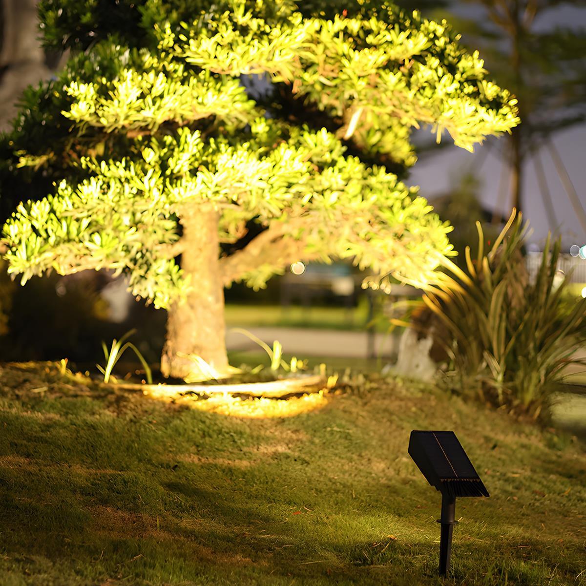 Garden Glow | Solar Spotlight Outdoor with Adjustable Zoom Lens | Waterproof Lighting for Your Yard