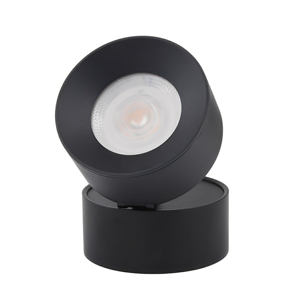 Outdoor LED Spotlight with Adjustable Head 12W Aluminum Wall-Mount Light for Garden Patio Entryway Landscape