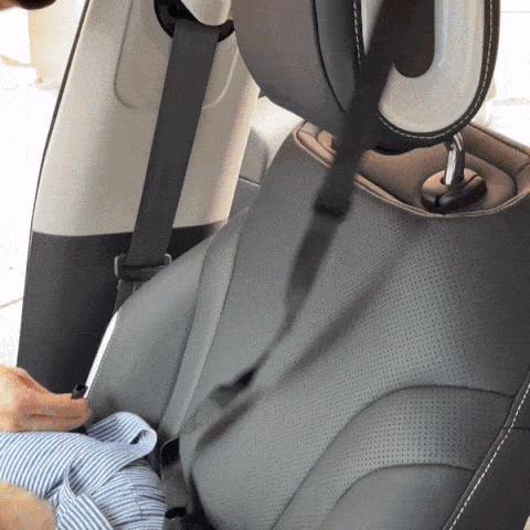 RoadTrip | Pet Bed with Adjustable Safety Features | Cozy Travel Solution for Dogs