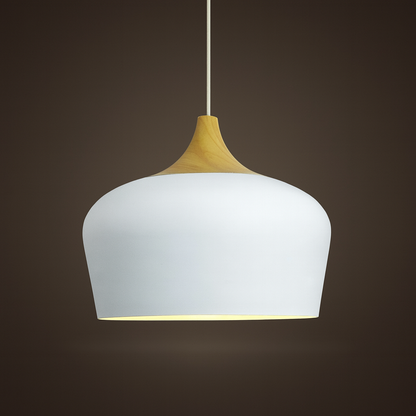 Wood & Metal Dome Shade Hanging Light 14 in Pastel Finish for Kitchen Island Dining Room Nursery Workspace E27 Socket Adjustable Height Cord