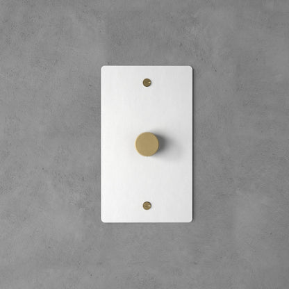 Rotary Light Dimmer Switch with Brass Knob for Stepless Brightness Adjustment in Living Room Bedroom Hallway Contemporary Wall-Mounted Panel