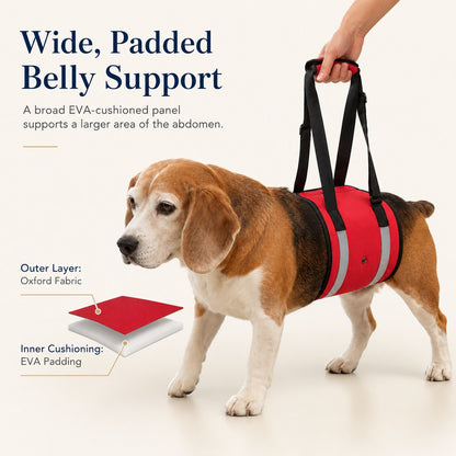 Ortekor Reflective Dog Lift Support Sling - Belly Assist for Dogs with Limited Mobility on Stairs, Walks & Car Entry