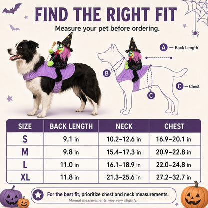 Ortekor 3D Witch Rider Halloween Pet Costume for Trick-or-Treating, Parties & Photos – Instant Funny Look for Dogs & Cats